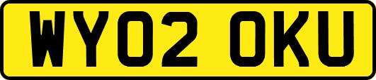 WY02OKU