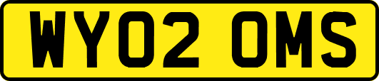 WY02OMS