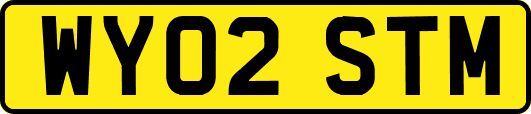 WY02STM