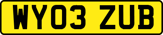 WY03ZUB