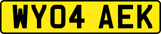 WY04AEK