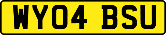 WY04BSU