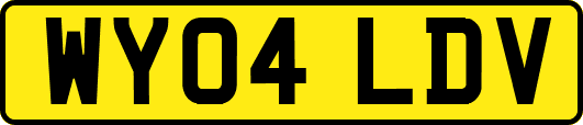 WY04LDV