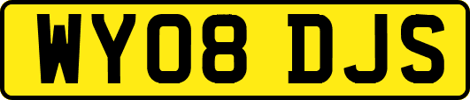 WY08DJS