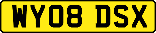 WY08DSX