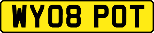 WY08POT