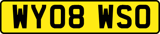 WY08WSO
