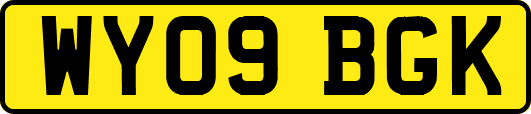 WY09BGK