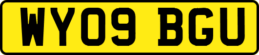 WY09BGU