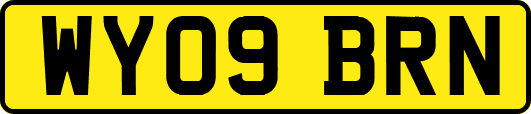 WY09BRN