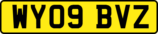 WY09BVZ