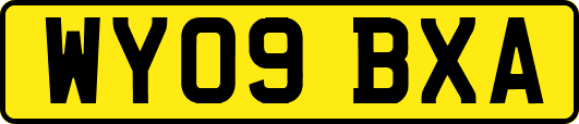 WY09BXA