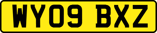 WY09BXZ