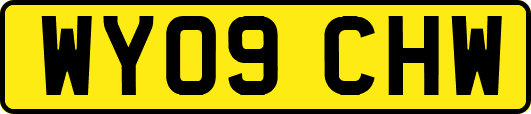 WY09CHW