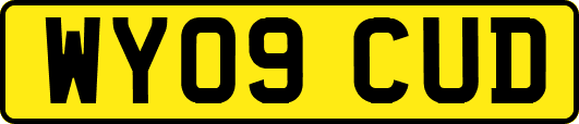 WY09CUD