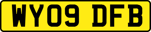 WY09DFB