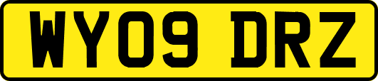 WY09DRZ