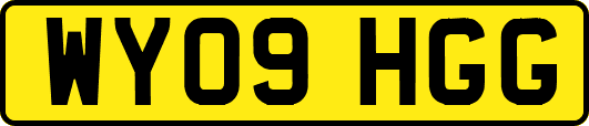 WY09HGG