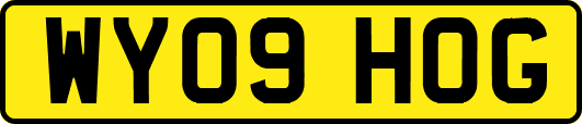 WY09HOG