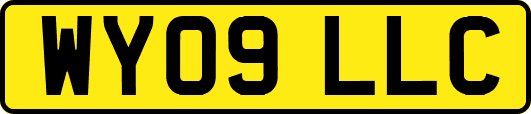 WY09LLC