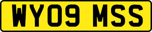 WY09MSS