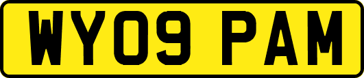 WY09PAM
