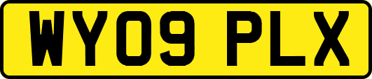 WY09PLX