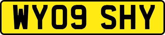 WY09SHY