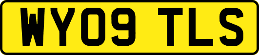 WY09TLS