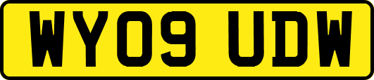 WY09UDW