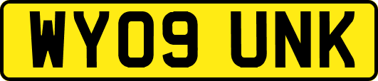 WY09UNK