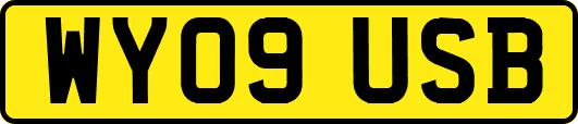 WY09USB