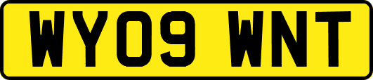 WY09WNT
