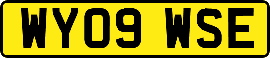 WY09WSE