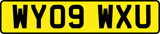 WY09WXU