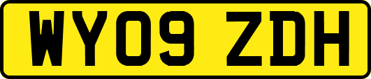 WY09ZDH
