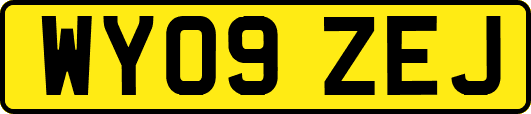 WY09ZEJ