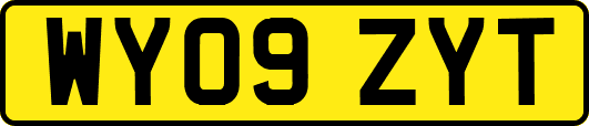 WY09ZYT