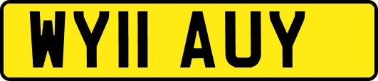 WY11AUY