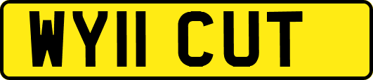 WY11CUT