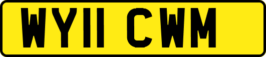 WY11CWM