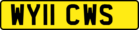WY11CWS