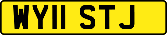 WY11STJ