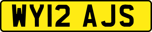 WY12AJS
