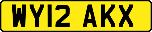WY12AKX
