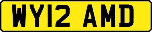 WY12AMD