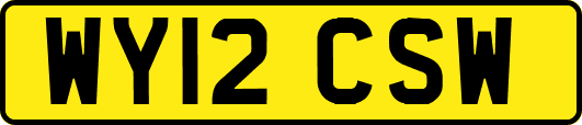 WY12CSW