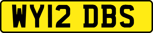 WY12DBS