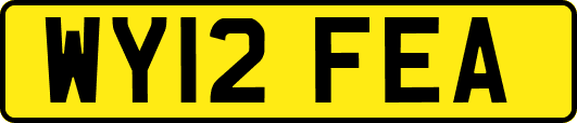 WY12FEA
