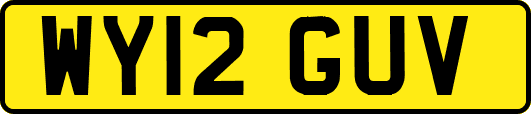 WY12GUV